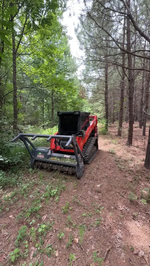 the complete guide to forestry mulching: a faster way to reclaim overgrown land Forestry mulching machine clearing wooded growth in China Grove, North Carolina